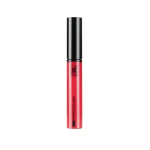 رژ لب مایع مات مای مدل Perfection Matt 9 میلی لیتر بافت نرم و مخملی