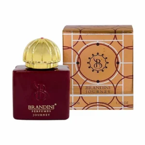 عطر جیبی زنانه برندینی مدل Journey 33 میلی لیتر ماندگاری بالا