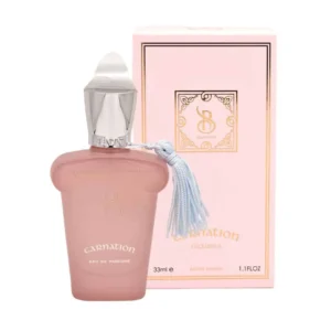 عطر جیبی زنانه و مردانه برندینی مدل Carnation 33 میلی لیتر مناسب برای فصول سرد