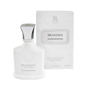 عطر جیبی زنانه و مردانه برندینی مدل Silver Mountain 33 میلی لیتر خنک و شیرین
